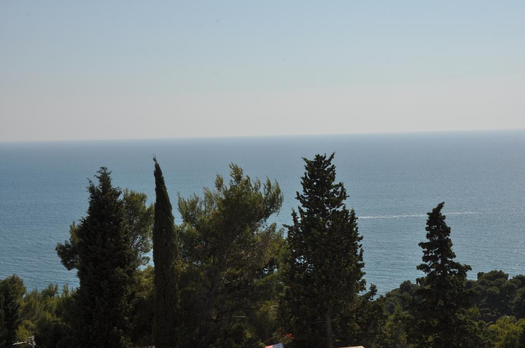 אולסינץ' Apartments Rozela מראה חיצוני תמונה